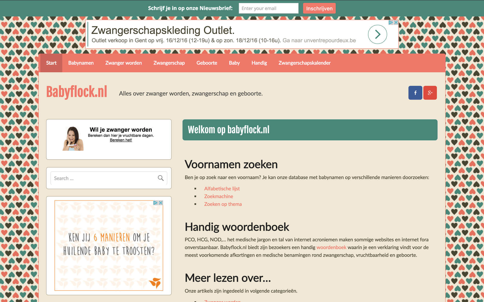 babyflock.nl desktop preview