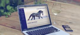 Sfeerbeeld website ontwerp van Lusitanosporthorses.nl
